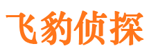 罗山找人公司